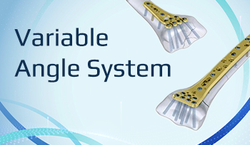 Variable Angle System